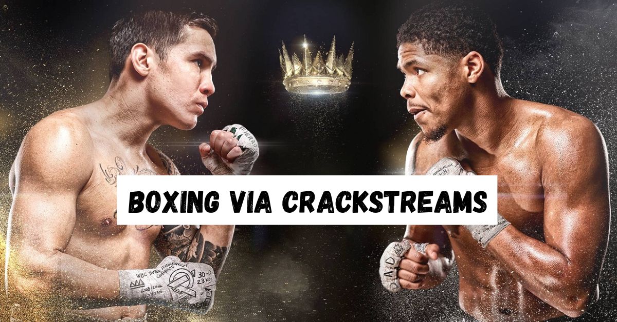 Why Crackstreams is a Reliable Platform for Boxing